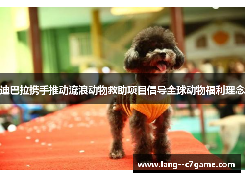 迪巴拉携手推动流浪动物救助项目倡导全球动物福利理念